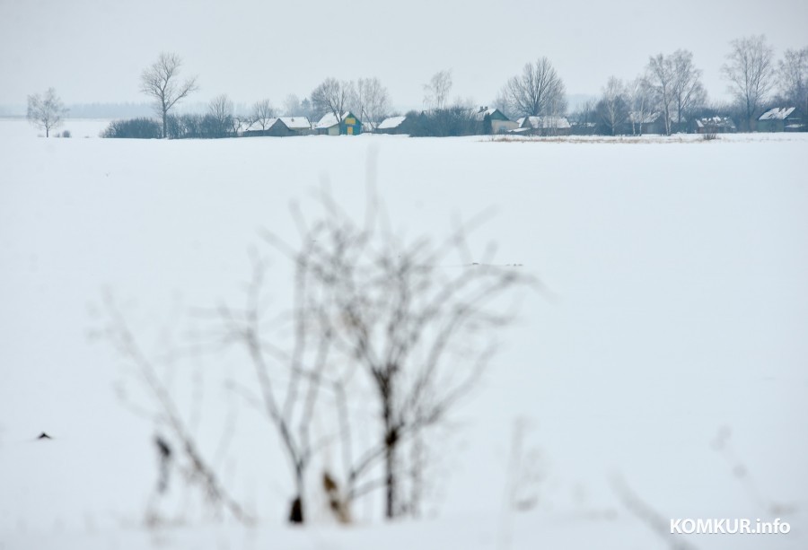 Больше 4 000 рублей обещают белорусам за переселение в деревню 