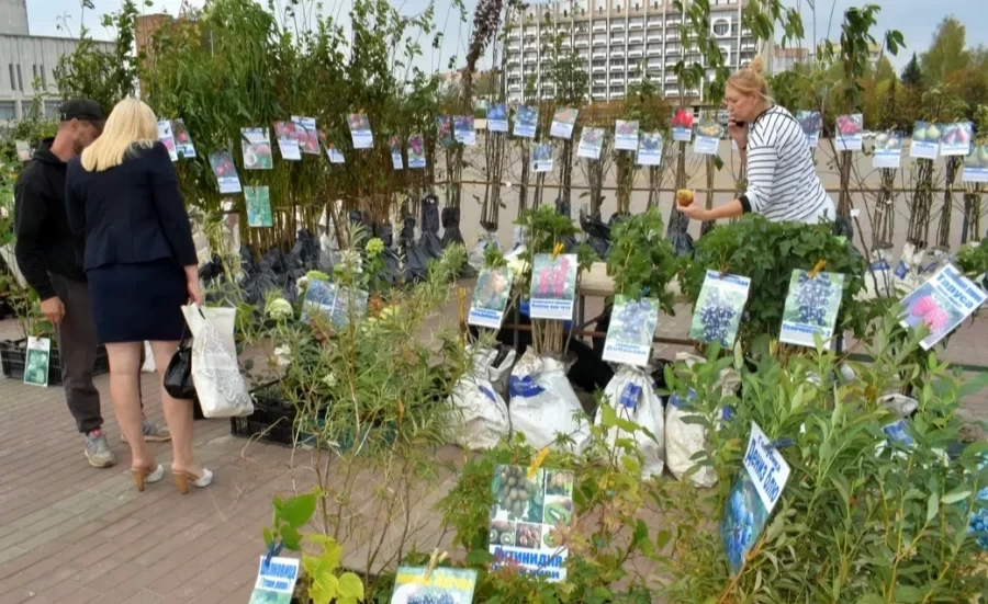 Пасхальная ярмарка открылась в Бобруйске 16 апреля. Узнали, что продают