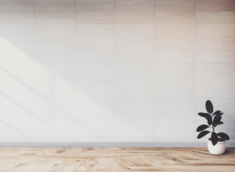 Ни кухни, ни денег: могилевчанин мечтал о новой мебели, а остался ни с чем