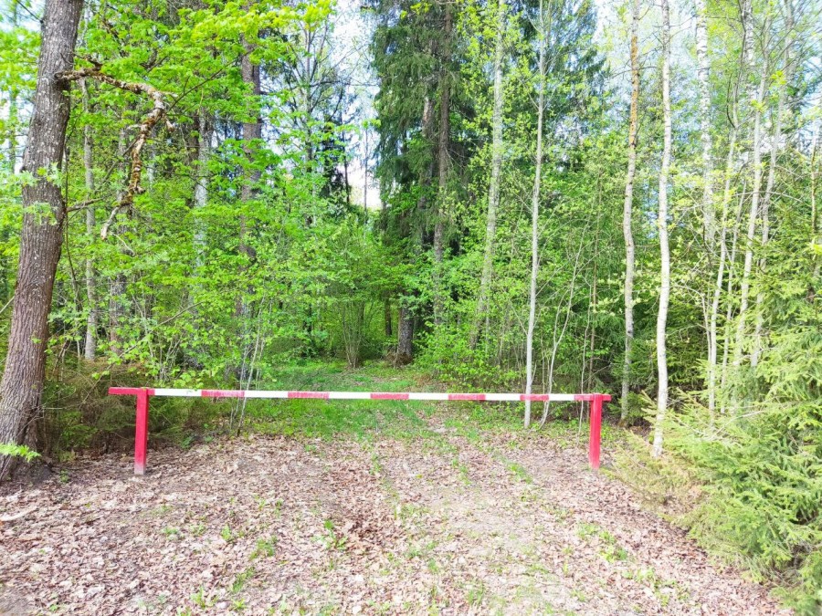 Ограничения на посещение лесов введены почти по всей Беларуси. В том числе и в Бобруйском районе