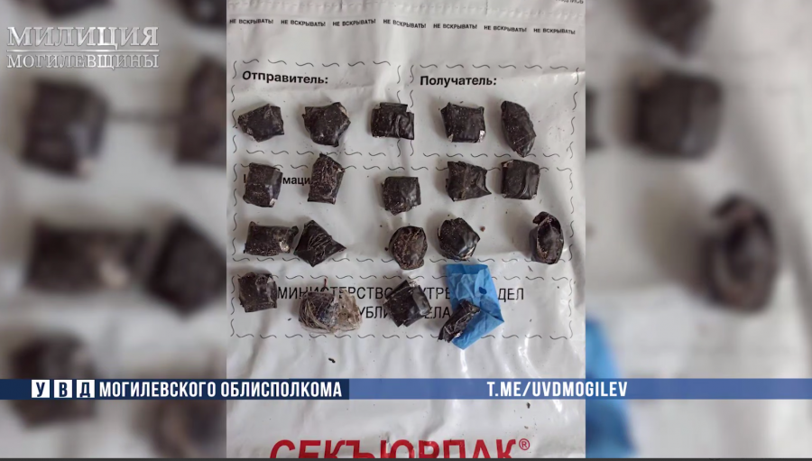 Дуэт наркодилеров из Бобруйска задержали с поличным в Могилевском районе