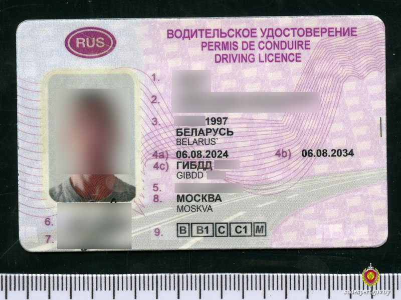 Житель Глуска попался с поддельными водительскими правами: документы заказал в интернете
