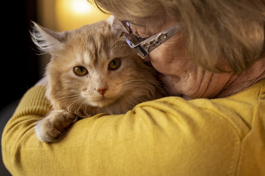 Фото: ru.freepik.com.