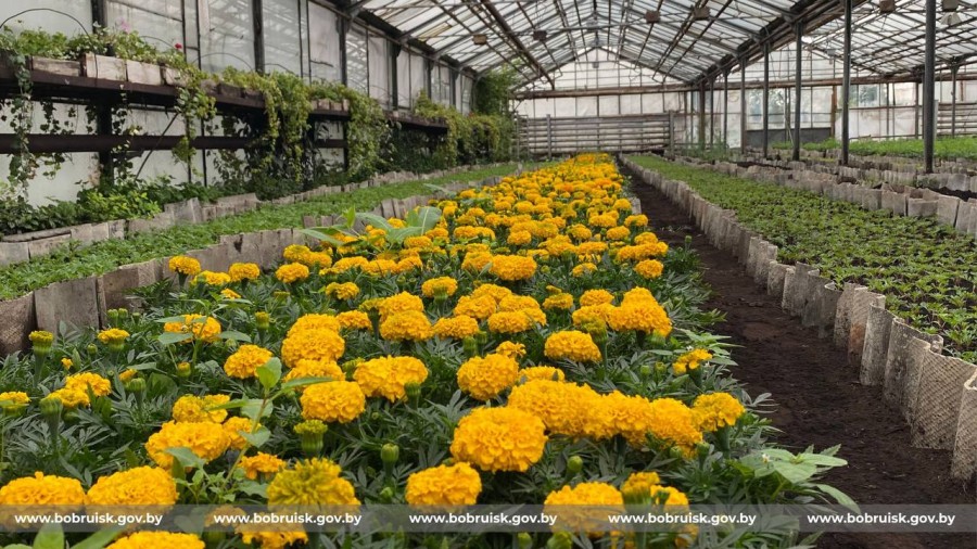 Фото: ТГ-канал Бобруйского горисполкома.