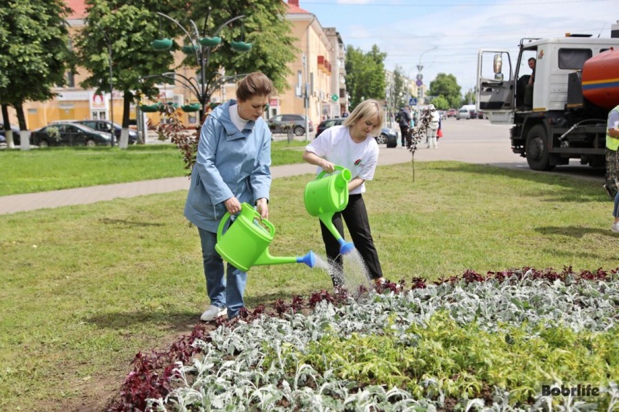 Две тысячи цветов: в Бобруйске появилась новая клумба. Фотофакт