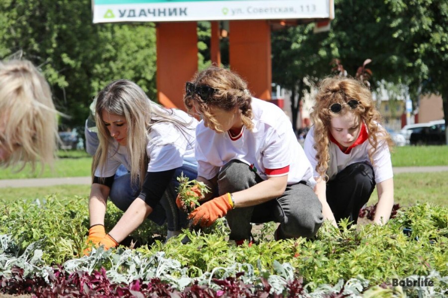 Бобруйск, 31 мая 2025 года. Новая клумба на пересечении улиц Минская и Октябрьская. Фото: bobrlife.by.