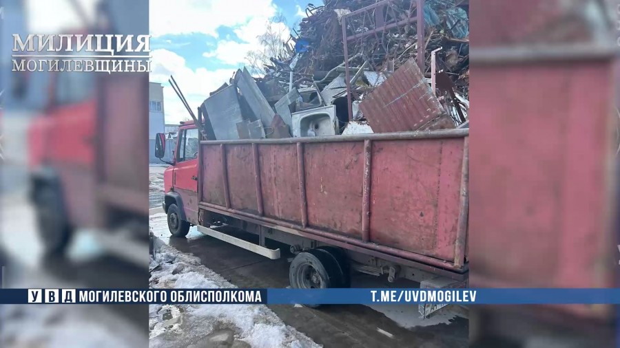 Вместо грибов – лом. Бобруйский пенсионер ответит за незаконный промысел  