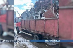 Вместо грибов – лом. Бобруйский пенсионер ответит за незаконный промысел  