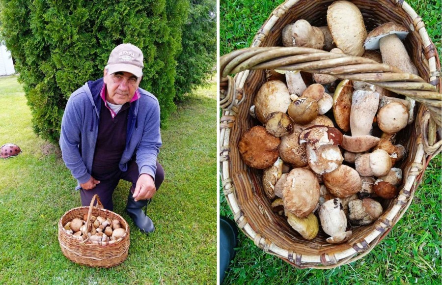 «Слухи пошли, решил проверить». 42 боровика из Дубовки