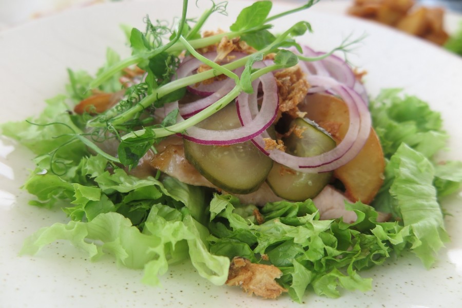 Июнь 2025 г. Могилев, ул.Симонова, ресторан «Санта Мария». Тёплый салат с беконом.