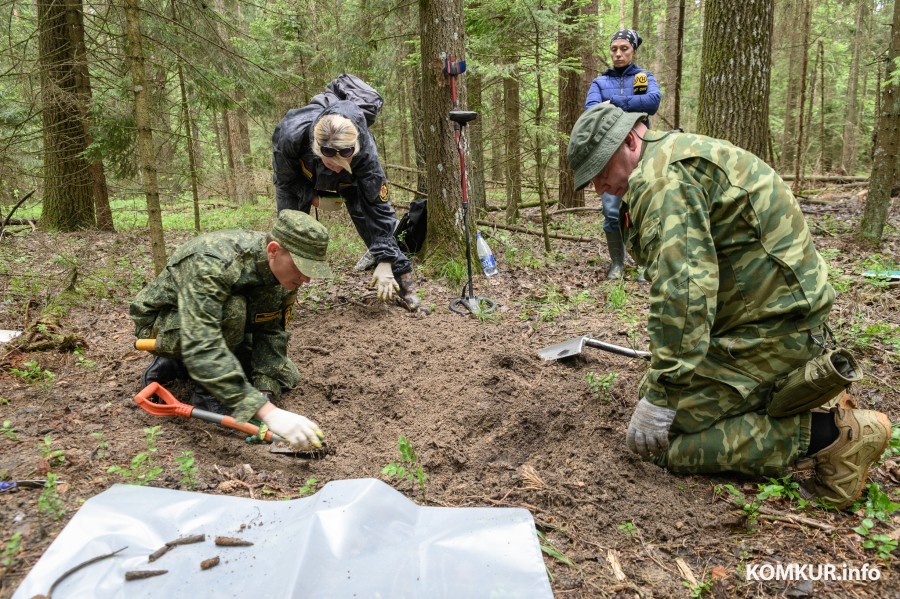 С медалью «За отвагу». Под Бобруйском найден погибший боец Красной армии (видео)