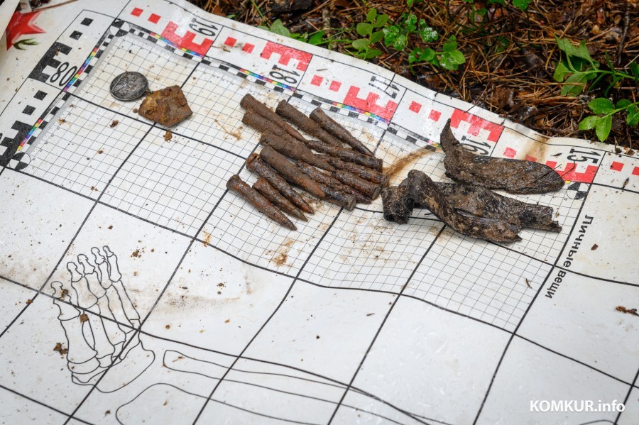 03.06.2025. Р93, Мышковичский сельский Совет, Кировский район, Могилёвская область, Беларусь. Поисковая экспедиция «Бобруйский котел» Могилевского областного историко-патриотического поискового клуба «Виккру».