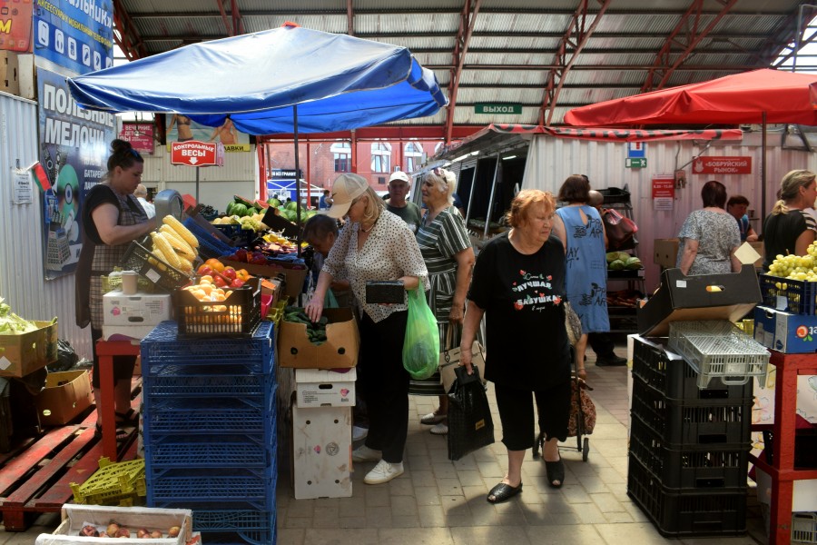 Малина, лисички, кукуруза, а черники нету. Что почем на бобруйском центральном рынке