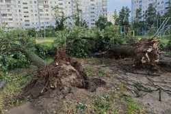 Неделя после урагана в Могилеве: посмотрите, как изменились отдельные улицы