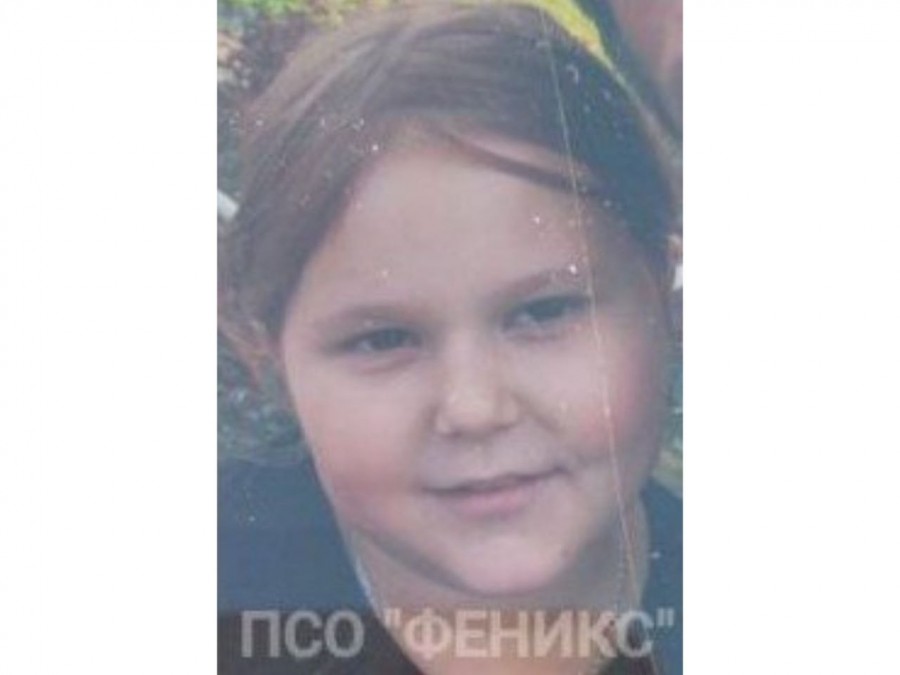 В Быховском районе в лесу потерялась 8-летняя девочка: поисковики объявили операцию «Красный щит»