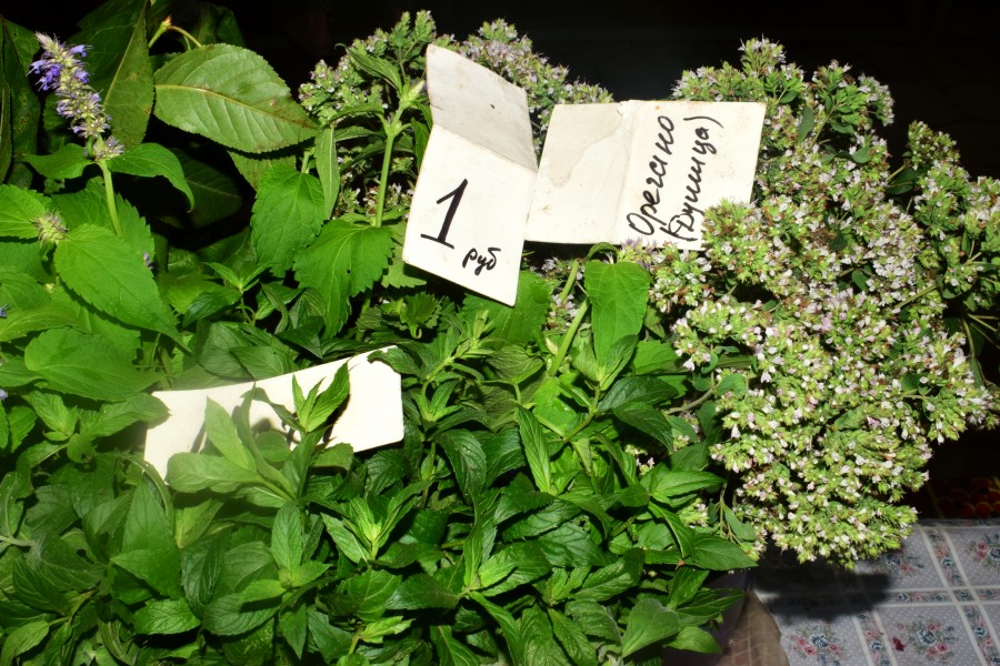 24 июля 2025 года. Бобруйский центральный рынок.