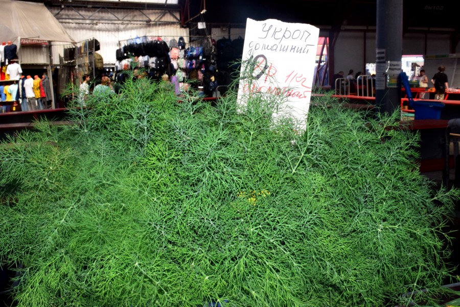 24 июля 2025 года. Бобруйский центральный рынок.