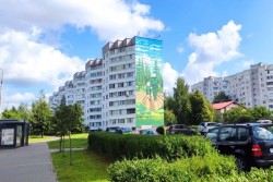 50 оттенков зеленого. Стену еще одного дома в Бобруйске превратили в арт-объект (видео)