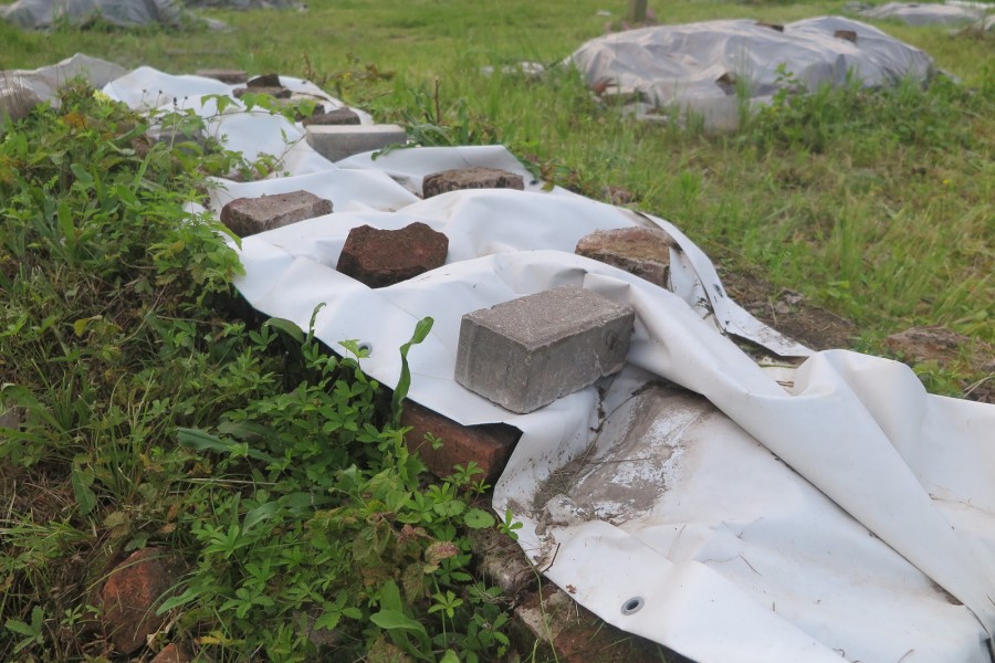 29.07.2025 г. Могилев, набережная Днепра., территория Троицкой церкви. 