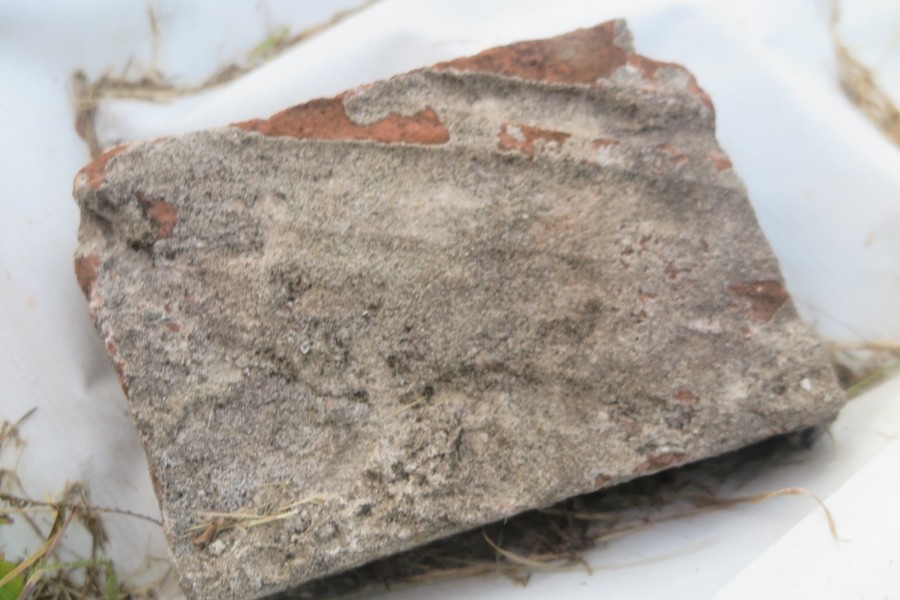  29.07.2025 г. Могилев, набережная Днепра., территория Троицкой церкви.  Тот самый кирпич-пальчатка со следами пальцев мастера, его изготовившего. 