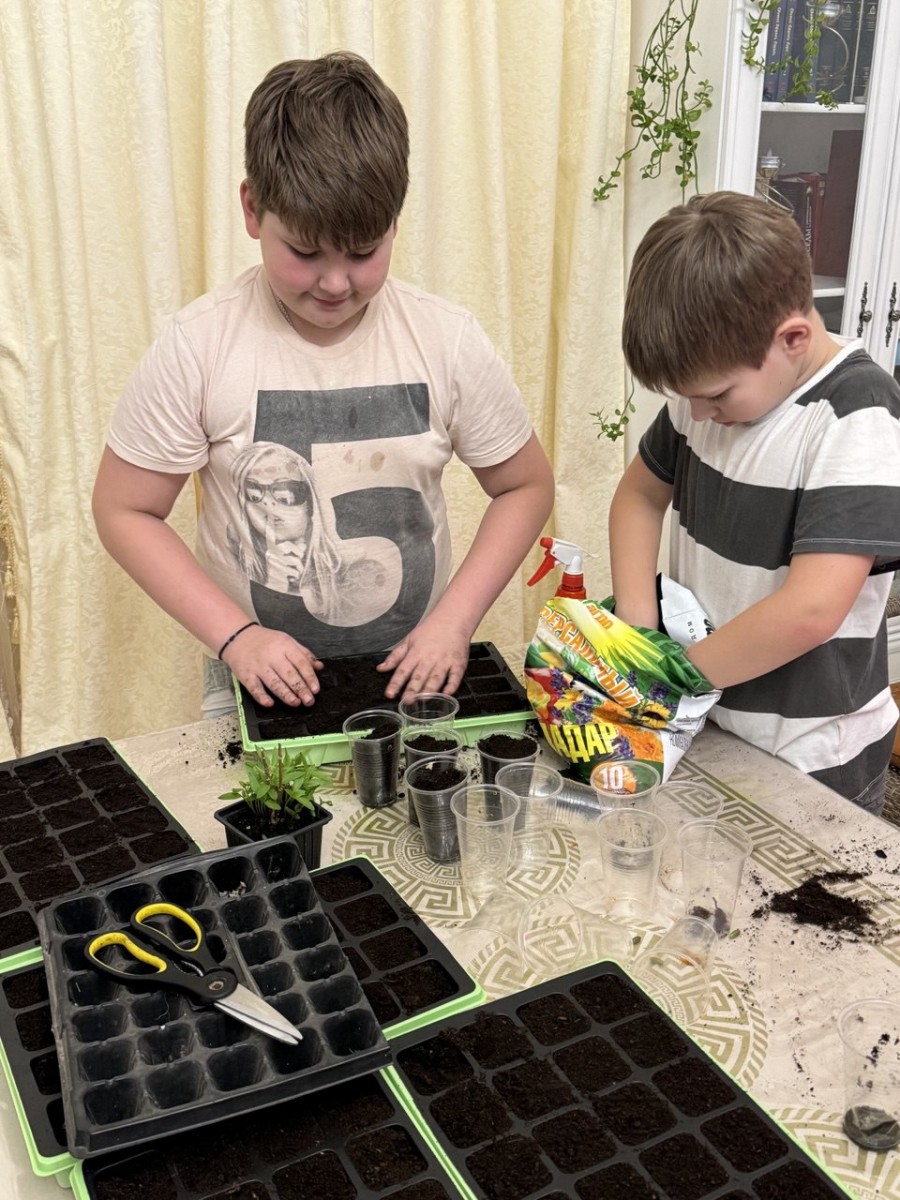 Мальчишки занимаются рассадой.