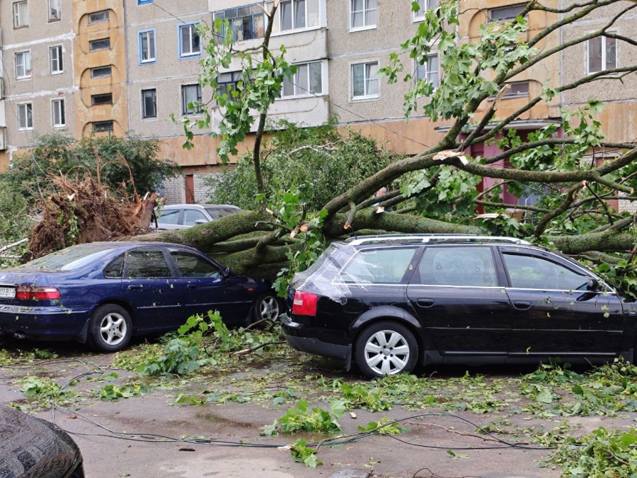 «Не понимаю, как соседи выбегали на улицу «смотреть» ураган: это же апокалипсис!». Жизнь глазами могилевчан