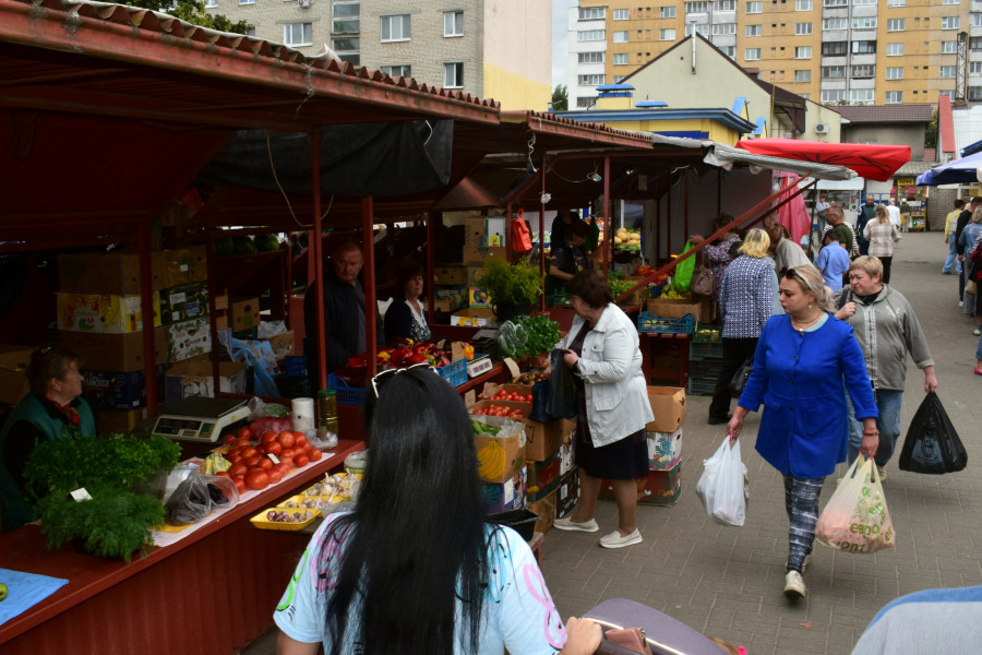 Много ягод и сыр от козьего до моцареллы. Что и почем предлагает в конце августа рынок на Красноармейской
