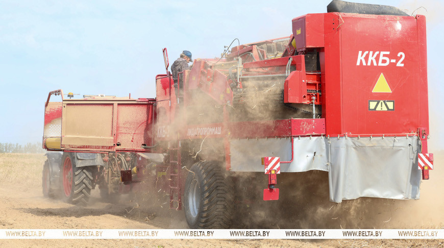 Лукашенко констатировал: дела в «Рассвете» идут неплохо, чего нельзя сказать о соседних хозяйствах