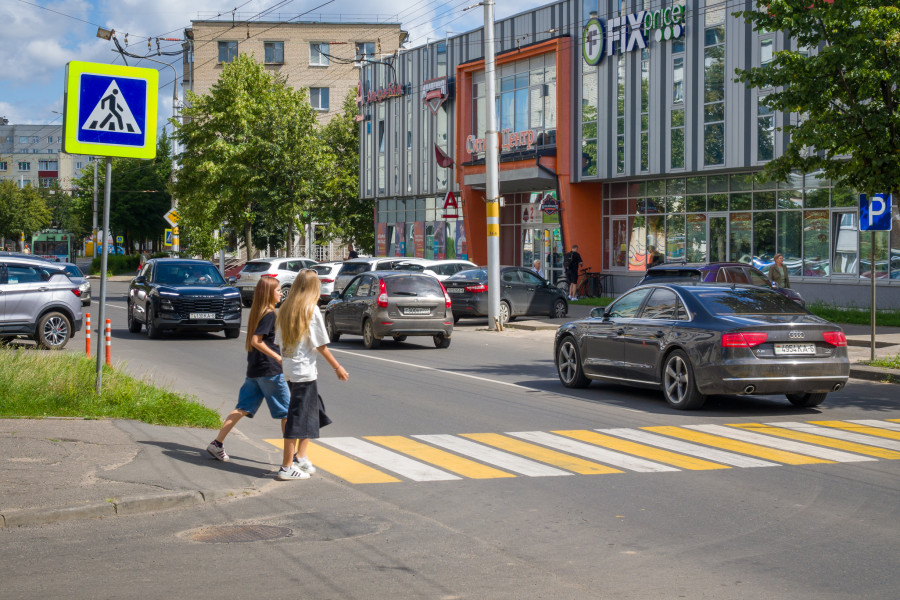 «Ко мне домой в четыре часа ночи прилетела летучая мышь, пришлось вызывать МЧС». Жизнь глазами бобруйчан