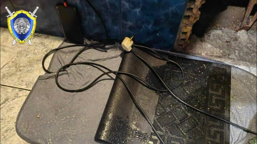 В Бобруйске от удара током погибла женщина