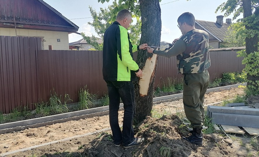 Какие нарушения в сфере охраны окружающей среды выявила прокуратура Бобруйска