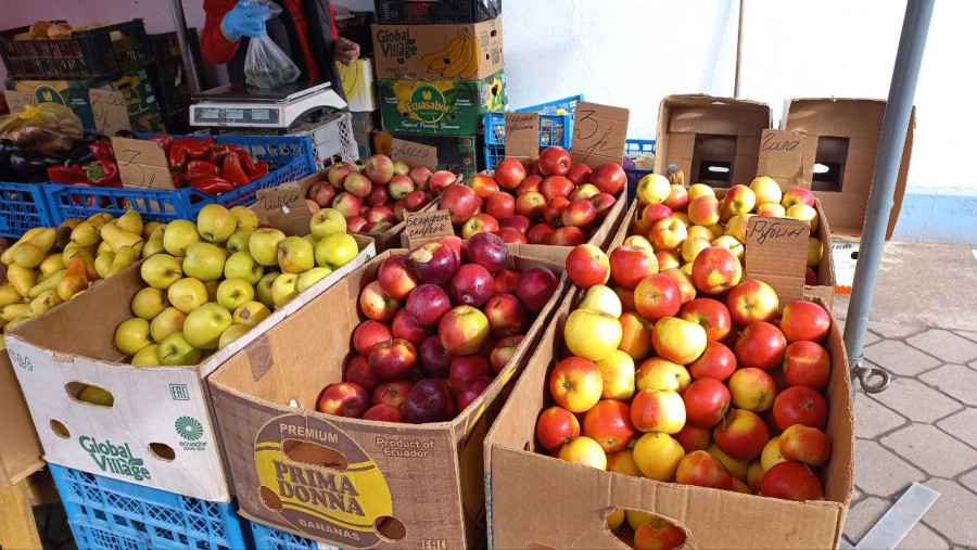 Лицензирование вывоза яблок вводится в Беларуси с 1 сентября