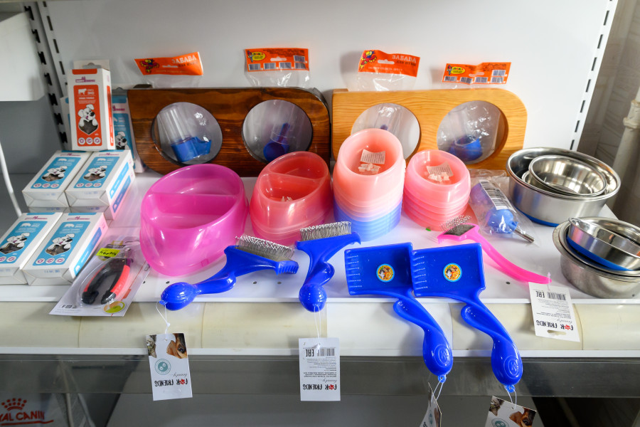 31.07.2025. Комарова, 1. Центр ветеринарной медицины «ВЕК»