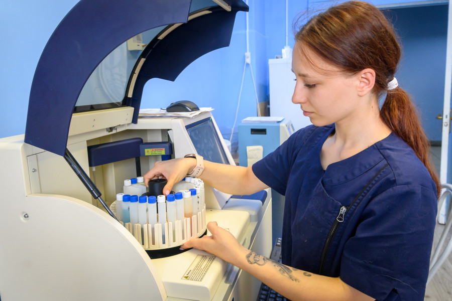 31.07.2025. Комарова, 1. Центр ветеринарной медицины «ВЕК»