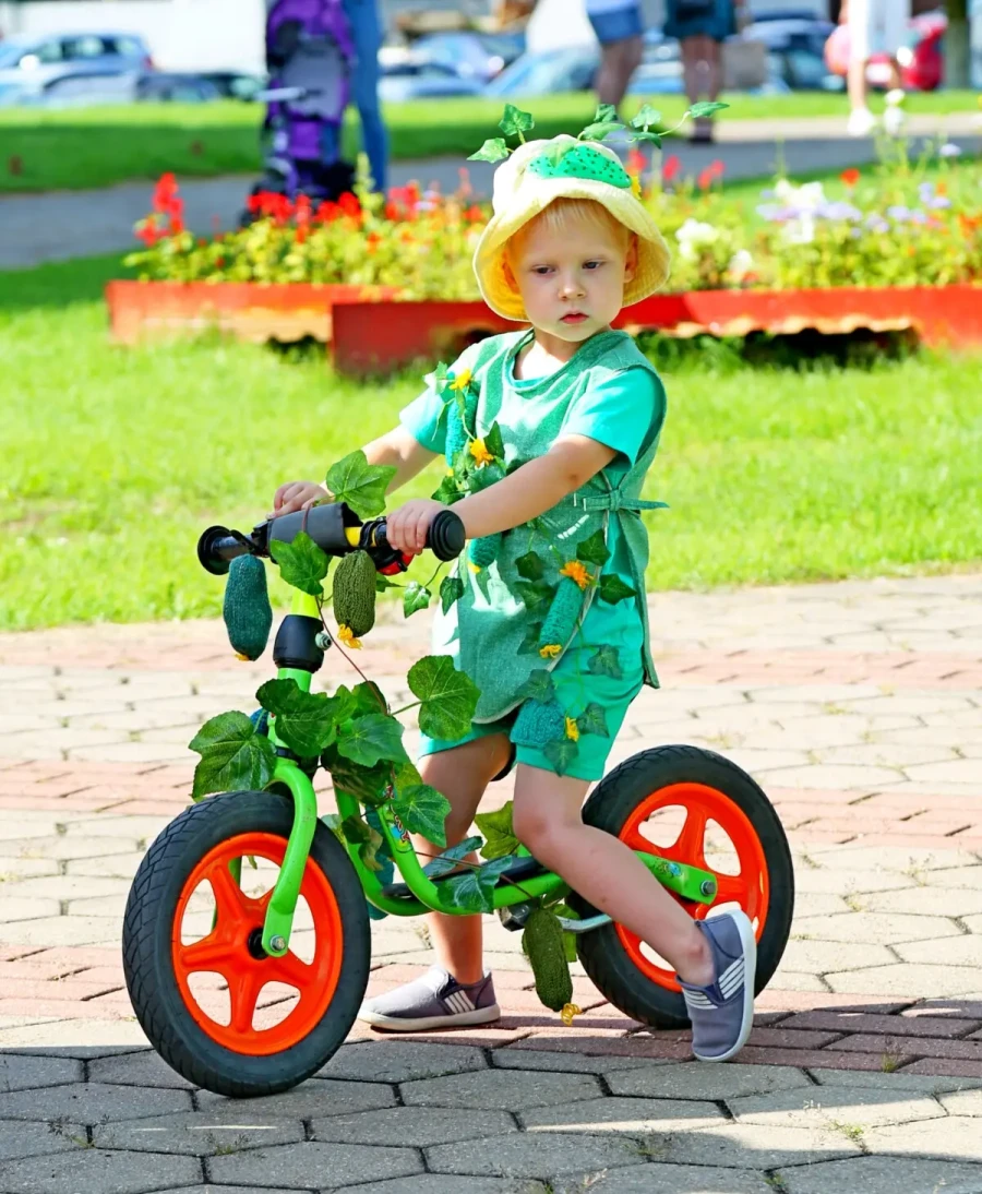 9 августа 2025 года. День огурца в Шклове. Фото: shklovinfo.by.