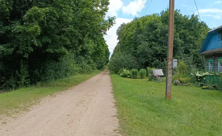 Август 2025 г. Деревня Клещевка Глусского района.