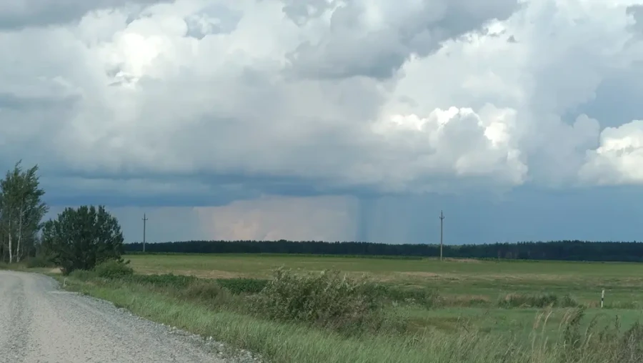 Август 2025 г. По дороге в Клещевку.