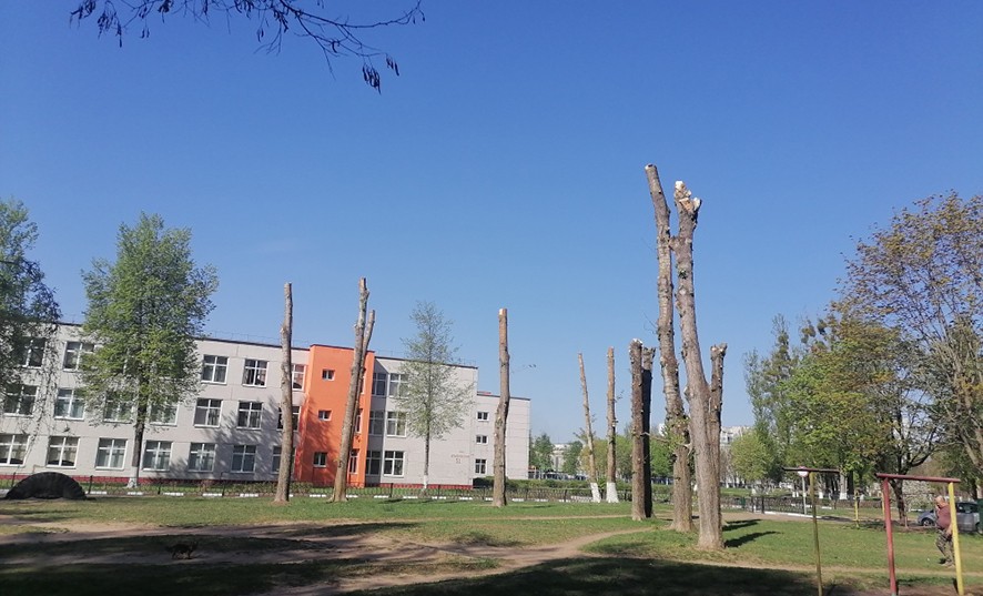 Нарушения в сфере охраны окружающей среды. Фото: прокуратура Бобруйска.