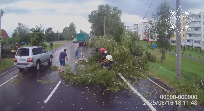 Последствия непогоды в Могилевской и Брестской областях. Фото: МЧС.