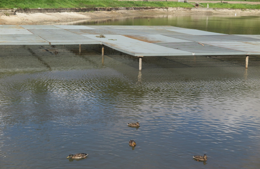 18.08.2025 г. Могилев, Дубровенка.