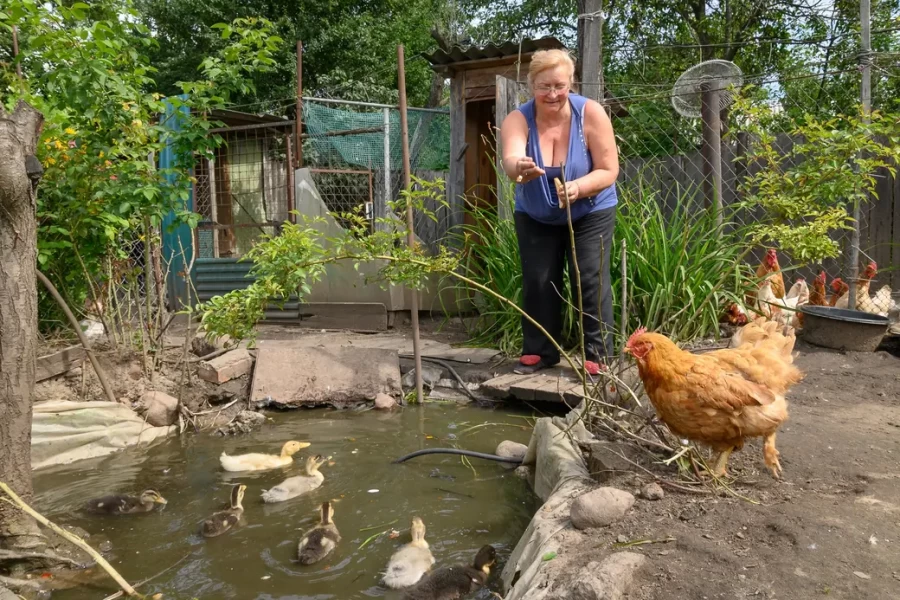 05.08.2025. Бобруйск. Бобруйск. В гостях у Любови Шушляниковой. Фото: Александр Чугуев.