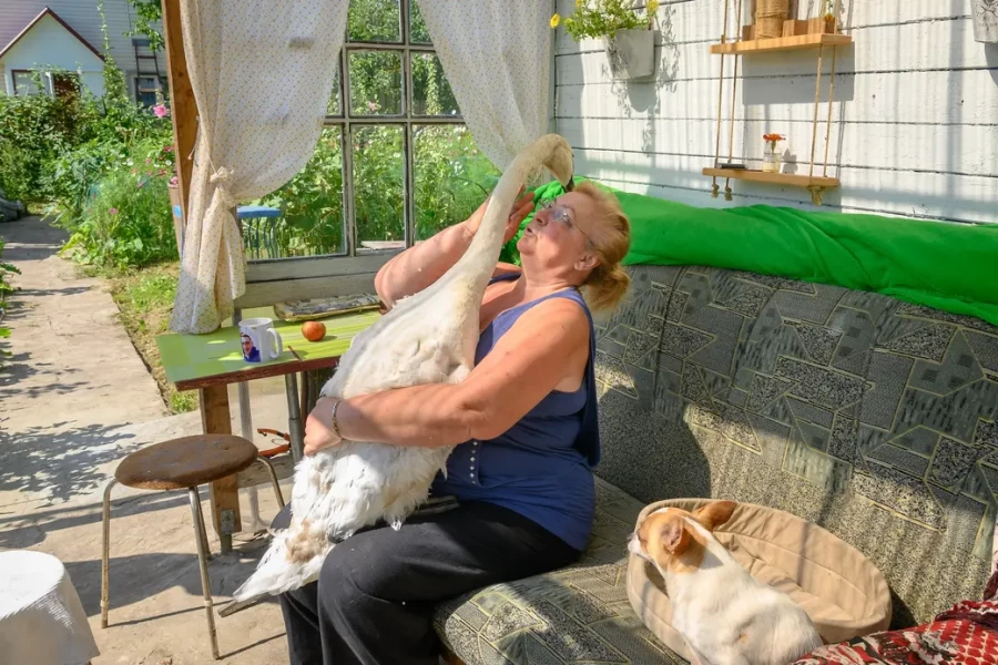 05.08.2025. Бобруйск. Любовь Шушляникова и ее питомцы. Фото: Александр Чугуев.
