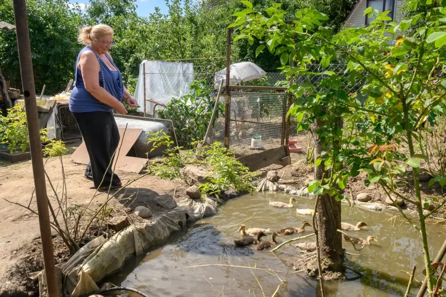 05.08.2025. Бобруйск. Любовь Шушляникова и ее питомцы. Фото: Александр Чугуев.