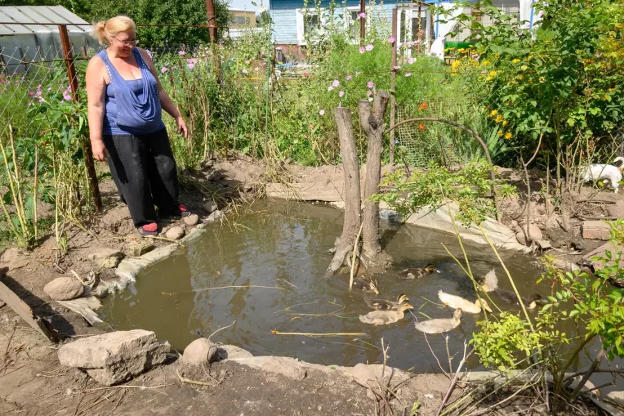 05.08.2025. Бобруйск. Любовь Шушляникова и ее питомцы. Фото: Александр Чугуев.