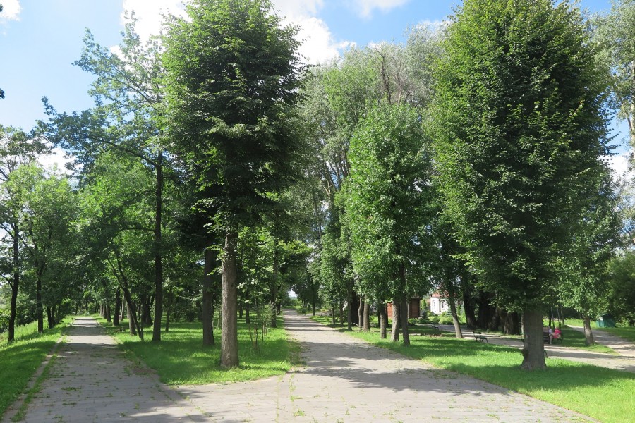 Август 2025 г. Могилев, парк Горького.