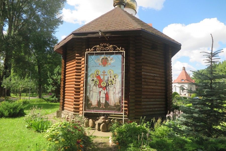 Август 2025 г. Могилев, парк Горького.