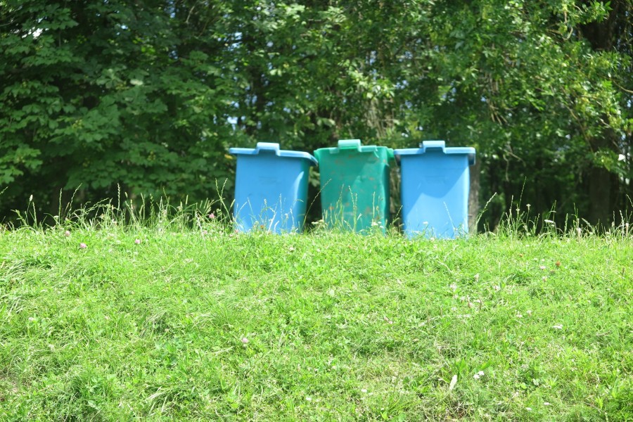 Июль 2025 г. Могилев, Печерское озеро. Баков для мусора хватает.