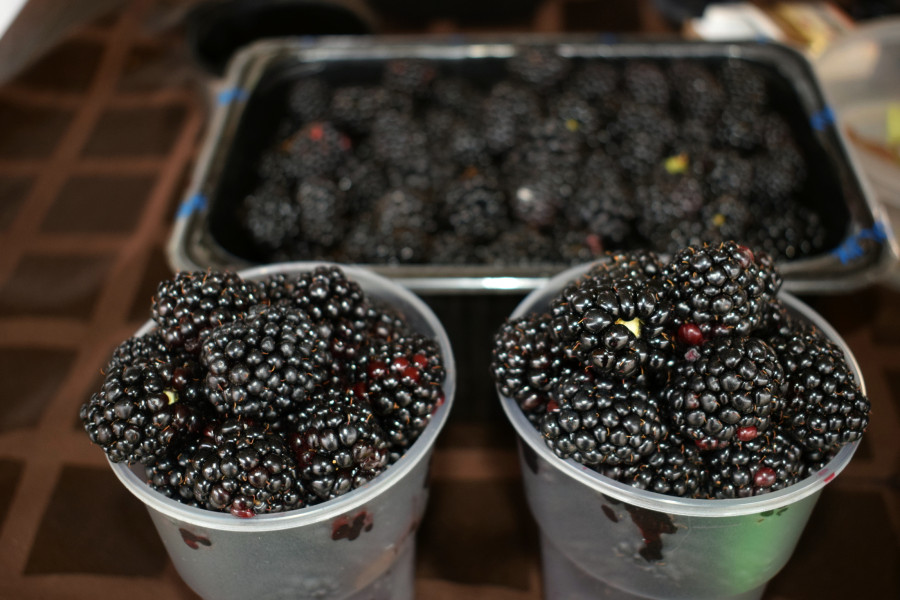 Бобруйск, 22 августа 2025 года. Рынок на Красноармейской.