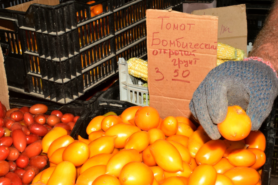 Бобруйск, 22 августа 2025 года. Рынок на Красноармейской.