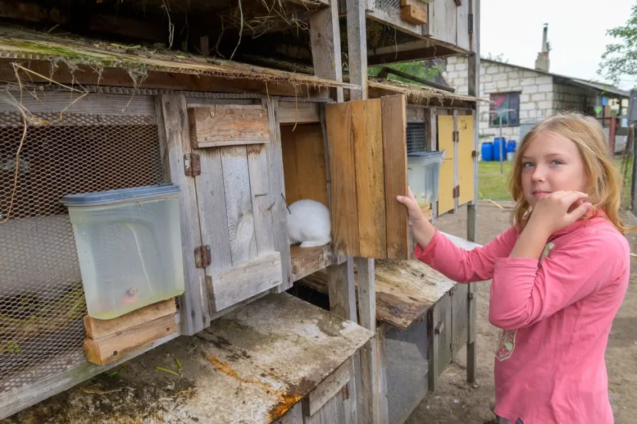 22.08.2025. Бобруйск. Сергей Филипчик разводит птицу, кроликов и свиней на домашнем подворье. В работе ему помогает вся семья. На фото: дочь Евгения.
